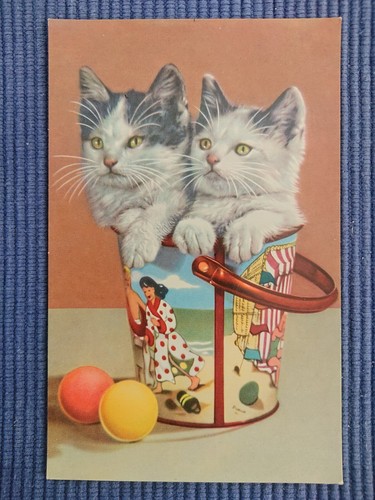 Vecchio cartolina gatti - vecchio, ak